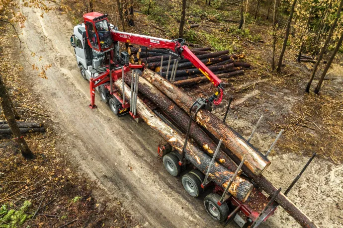 WWF Románia: a tűzifa árának plafonálása óta aggasztóan megnőtt az illegális fakitermelés