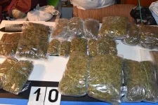 Négy kilogramm marihuánát foglaltak le a rendőrök egy Hódmezővásárhelyi férfi otthonában