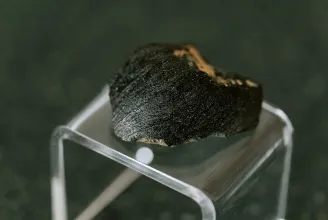Disznóhányás segíthet megoldani a marsi meteorit évszázados rejtélyét