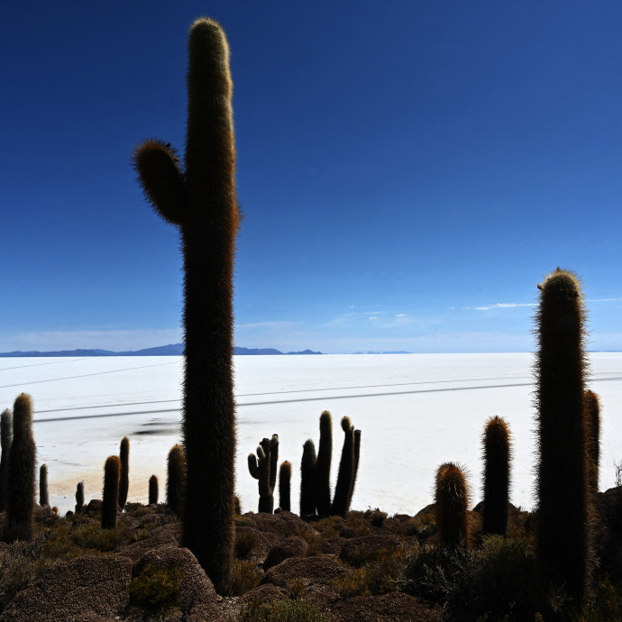 Rémisztő a klímaváltozás, de öt éve még kétszer ilyen rémisztőnek tűnt