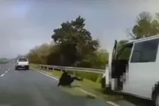 Üldözték a rendőrök, mozgó furgonból ugrott ki az embercsempész