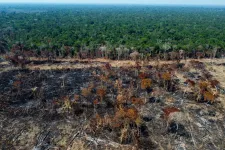 Az egész Föld fellélegezhet az erdőirtó Bolsonaro távozása miatt