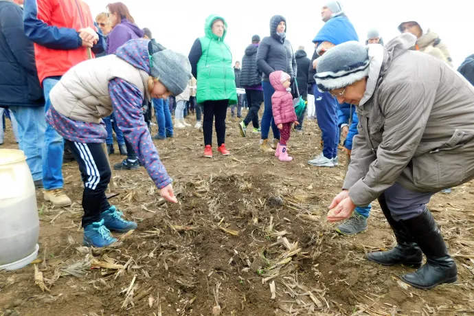 Győri tiltakozás: Szurkolunk a gerinctelen férgeknek, dolgozzanak még értünk. Mármint a gilisztáknak