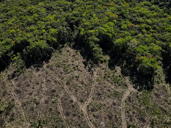 Az Amazonas esőerdő egy megcsonkított parcellája Brazíliában, 2022. július 8-án – Fotó: Bruno Kelly / Reuters
