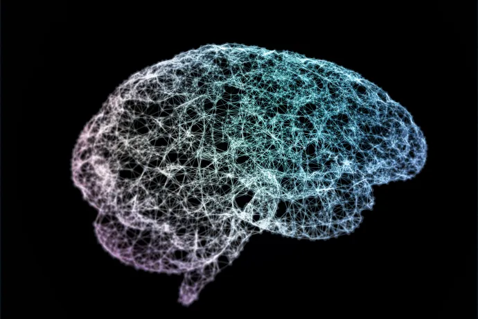 Díjat kapott a PTE két klinikája a Parkinson-kórt is kezelő mély agyi stimulációs munkájukért