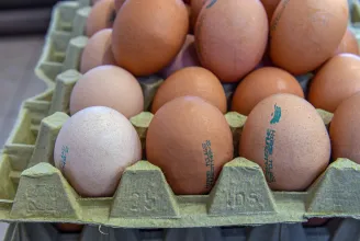 November 14-ig kaptak türelmi időt a kereskedők, hogy átálljanak a hatósági áras tojásra és krumplira