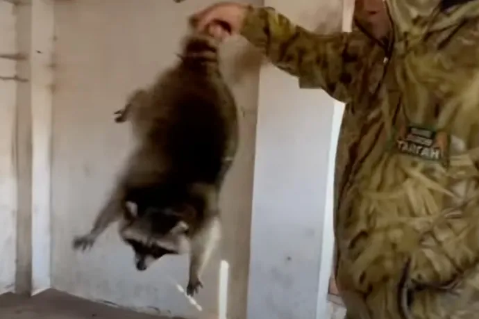Az ukránok szerint elvitték a mosómedvéket, farkasokat, de még a mókusokat is a Herszonból kivonuló oroszok