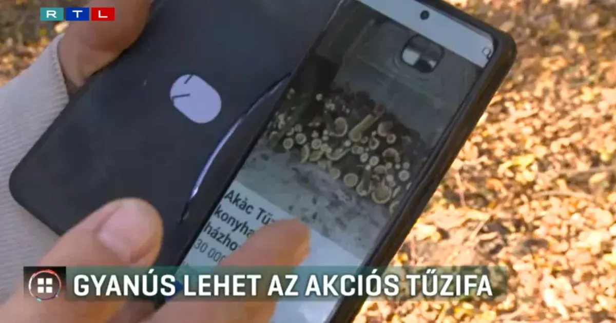 Tűzifacsalókra figyelmeztet a rendőrség