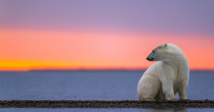 Pánik helyett klímarealizmusra van szükség