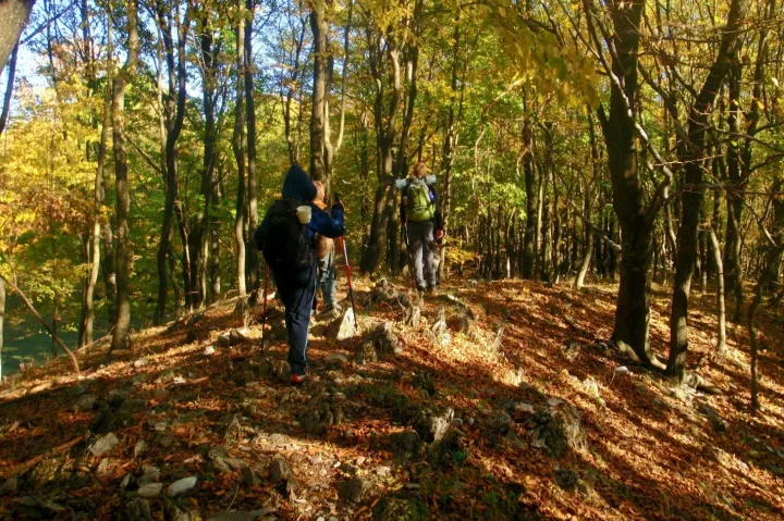 Fent: a Gyári-tó, középen: katonasírok – Fotó: Tenczer Gábor / Telex
