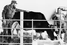 Fidel Castro gigantikus fagylaltozója és a kubai tejipari álom