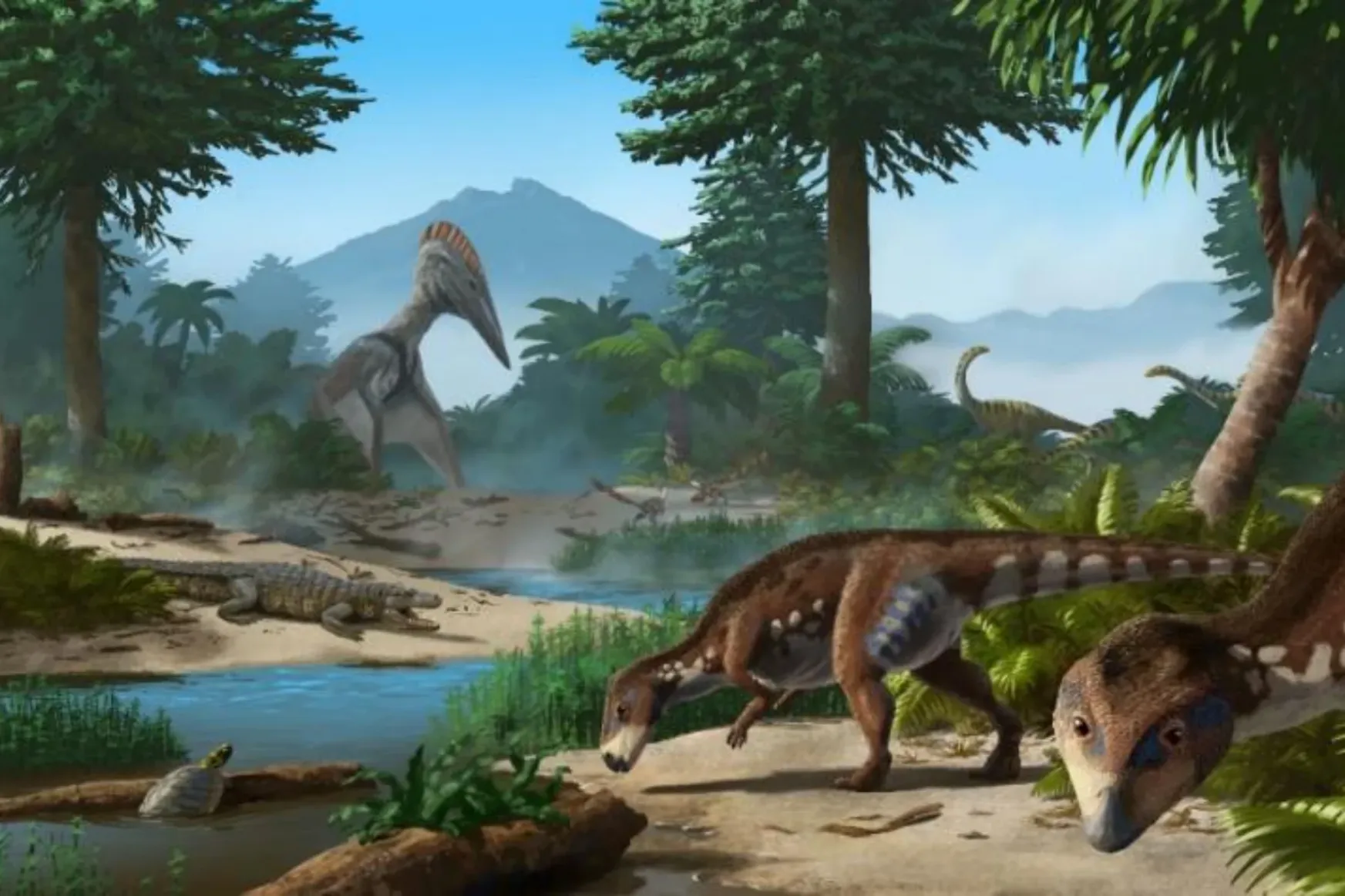 Új erdélyi törpe dinót fedeztek fel: a növényevő Transylvanosaurus két méter hosszú volt és két lábon járt