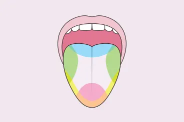 Hiába tanítják az iskolákban, az ízlelést bemutató nyelvtérképnek nagyon kis köze van a valósághoz