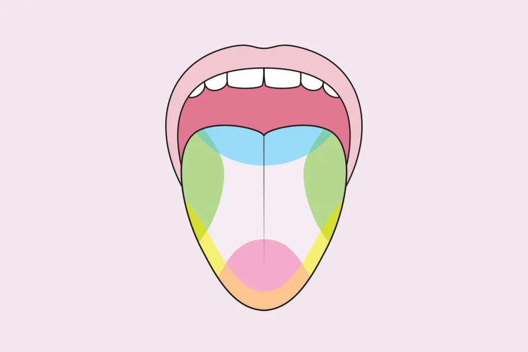 Hiába tanítják az iskolákban, az ízlelést bemutató nyelvtérképnek nagyon kis köze van a valósághoz