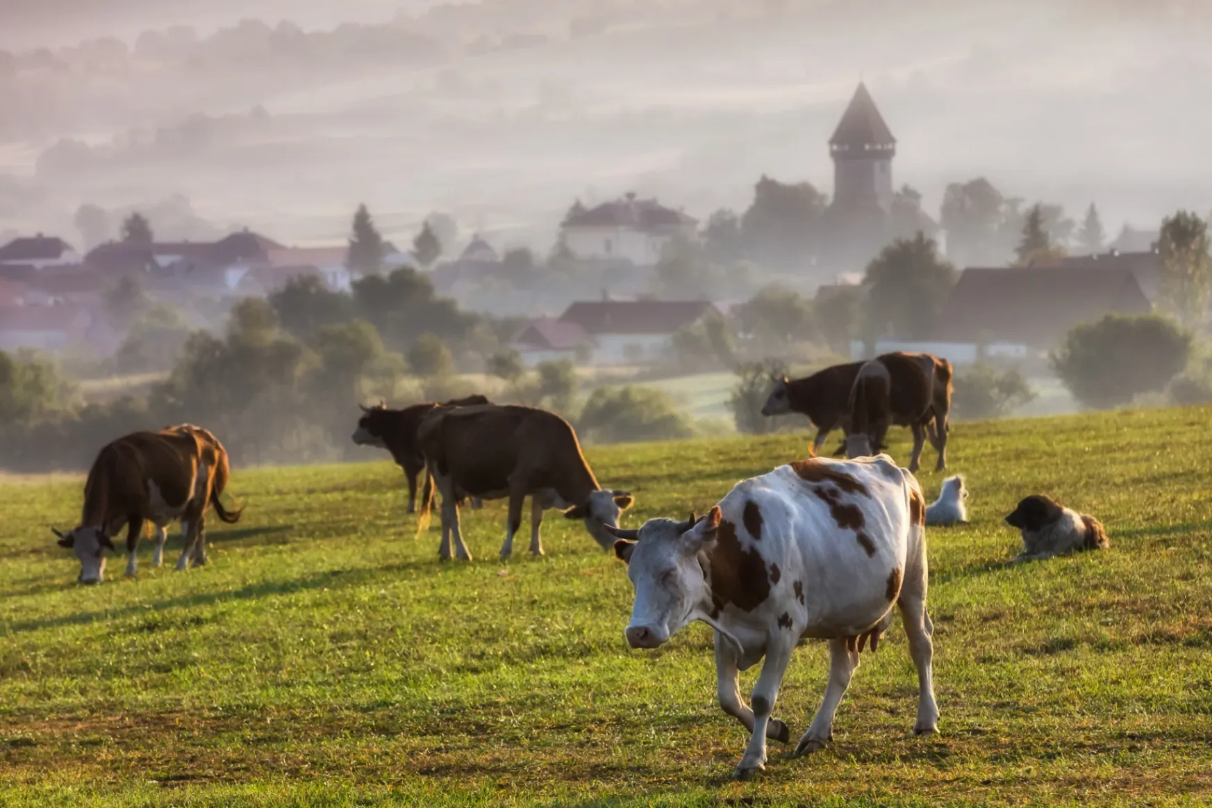 Az autentikus élményeket kínáló erdélyi dombvidék most már hivatalosan is ökoturisztikai desztinációnak számít