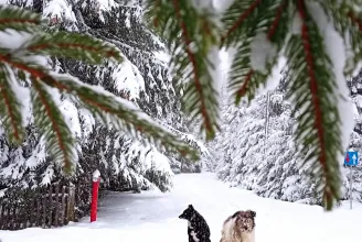 Kolozsvár környékén már havas tájban is gyönyörködhetnek a kirándulók