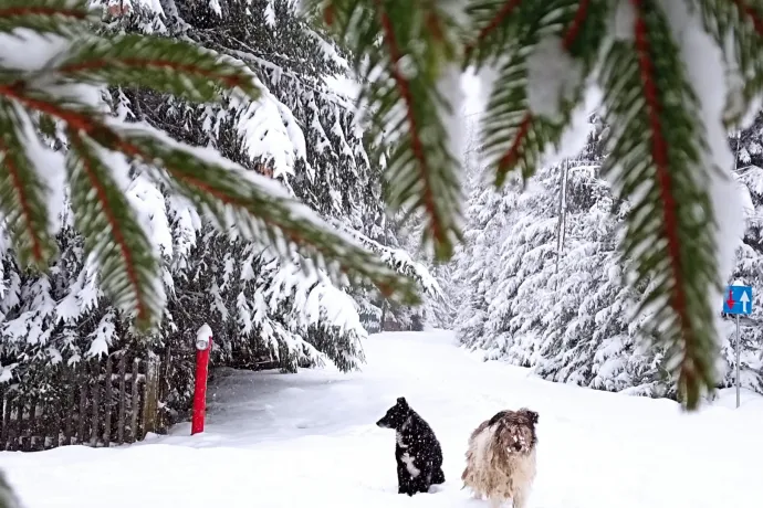 Kolozsvár környékén már havas tájban is gyönyörködhetnek a kirándulók