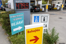 Az üzemanyag mentette meg a rekordzuhanástól a magyar üzleteket