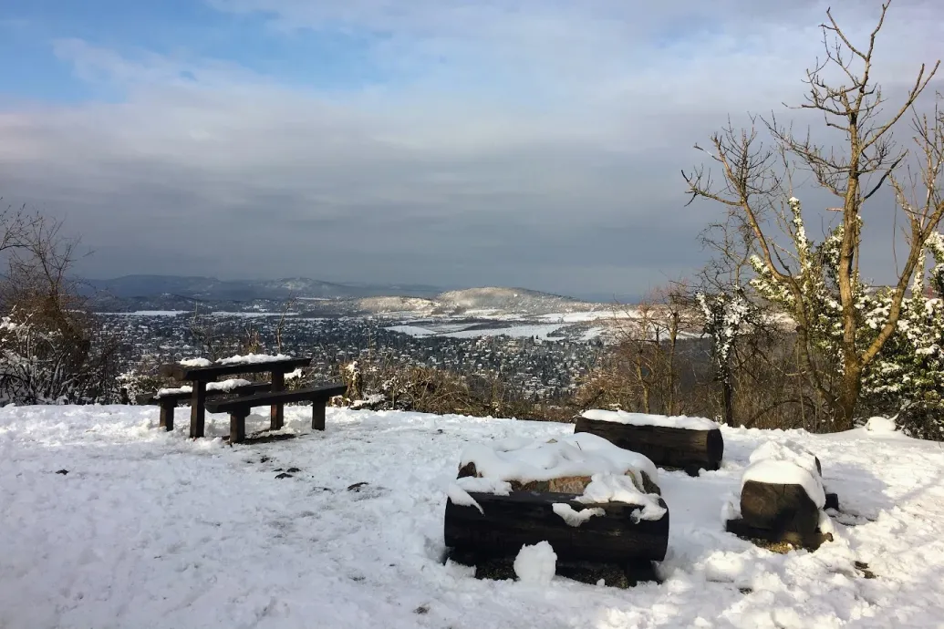 Pingvin-kör a Hárs-hegyen