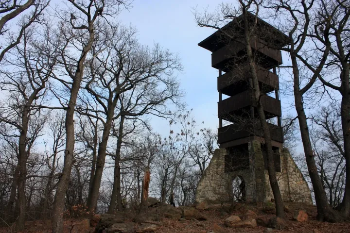 A Hárs-hegyi kilátó – Fotó: Tenczer Gábor / Telex