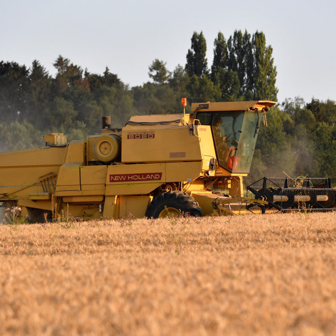 Az élelmiszerek drágulásában van egy olyan faktor, aminek semmi köze nincs az élelmiszerhez