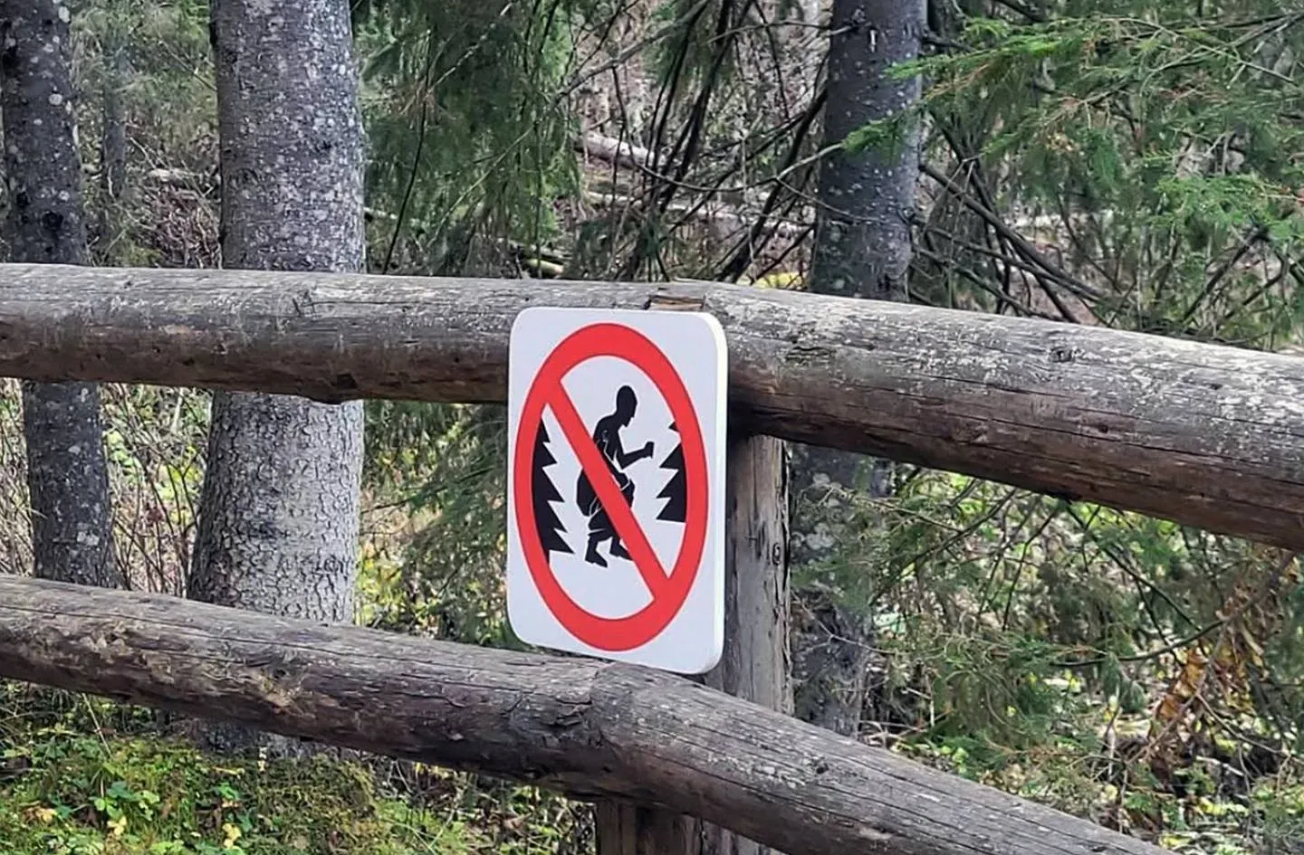 Kakálni tilos táblák jelentek meg a Tátrai Nemzeti Parkban