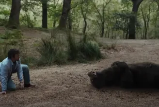 Tényleg készült egy film a bekokainozott medve történetéről