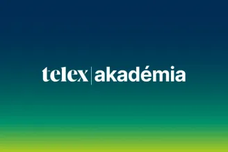 The launch of Telex Academy