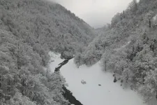 Eltévedt és halálra fagyott egy ukrán menekült a Máramarosi-havasokban