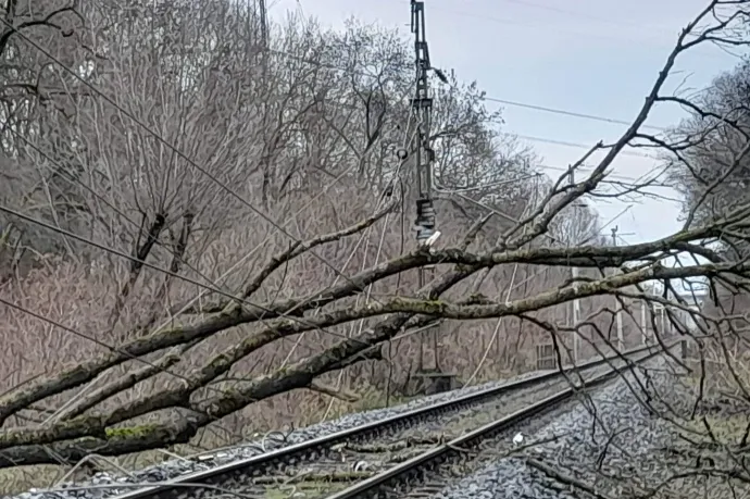 Kidőlt fák és vízzel megtelt pincék miatt riasztják a tűzoltókat országszerte