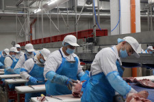 Mire nem jó a minimálbér emelése?