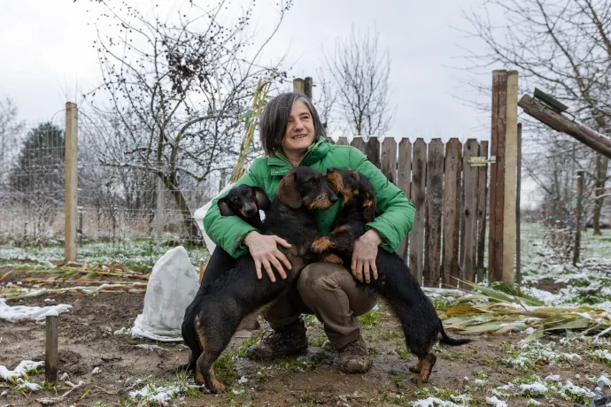 Kriszta és a család három kutyája a csengeri kertjükben – Fotó: Tóth Helga / Transtelex