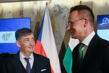 A romló gazdasági környezet ellenére rekordot döntött Mészáros Lőrinc cégcsoportja