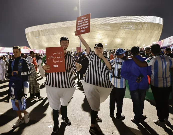 A Lószail Stadion – Fotó: Mohammed Dabbous / Anadolu Agency / AFP