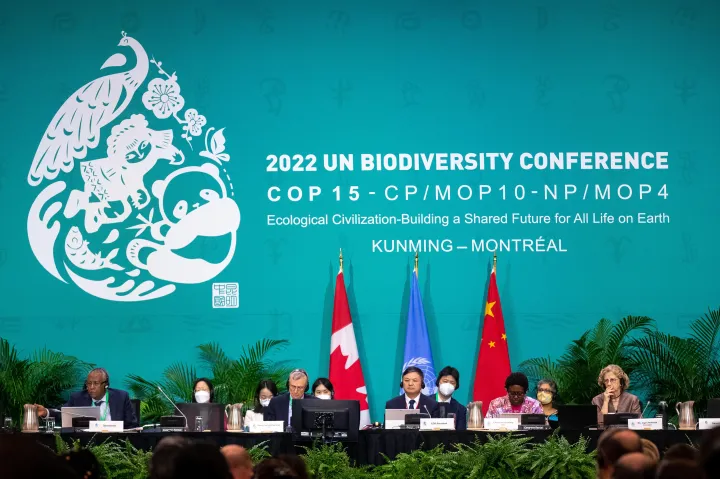 COP15: „Történelmi jelentőségű” megállapodás született a biodiverzitás védelméről