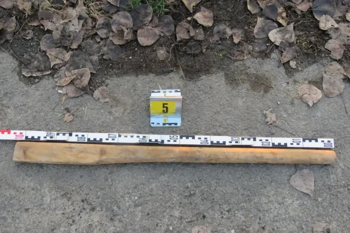 Golfütőkkel és fejszenyelekkel esett egymásnak két család a csongrádi kompkikötőben