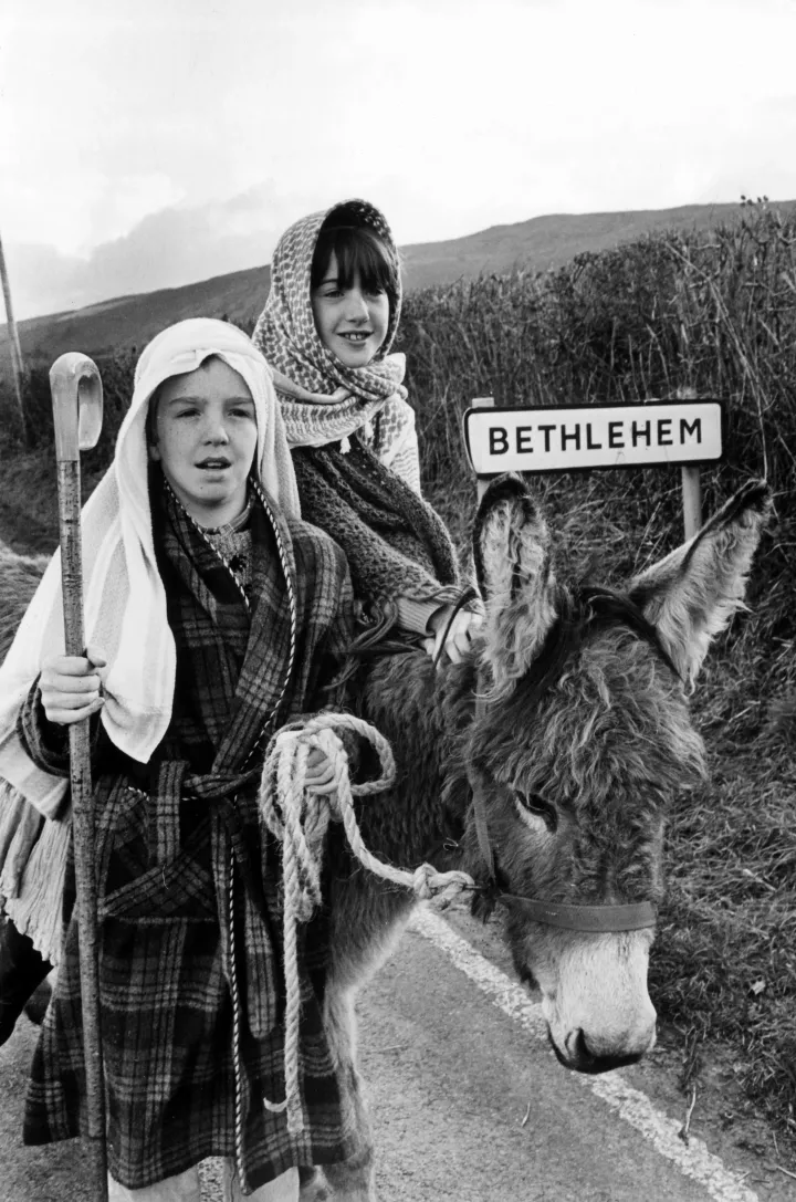 Hagyományőrző műsoron mutatják be diákok, amint József egy szamár hátán vezeti be Máriát Betlehembe a walesi Llandeilo melletti faluban 1986. december 22-én – Fotó: Western Mail Archive / Mirrorpix / Getty Images