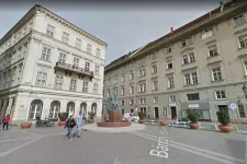 Bardóczi: Irreálisan sokat fizetett három fa elültetéséért a belvárosi önkormányzat