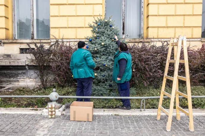 Ő karácsonyfa akart lenni. De hát a környékén ki nem?