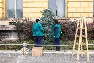 Ő karácsonyfa akart lenni. De hát a környékén ki nem?