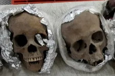 Koponyákat találtak egy kartondobozban a mexikói Querétaro repülőterén