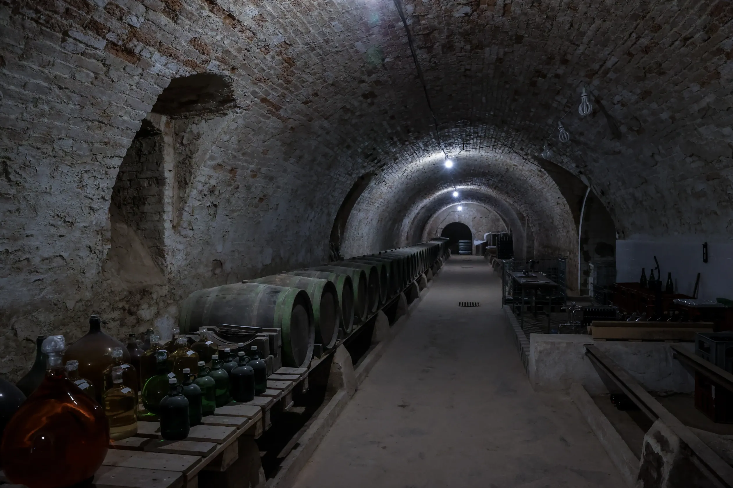 The cellars – Photo: István Huszti / Telex