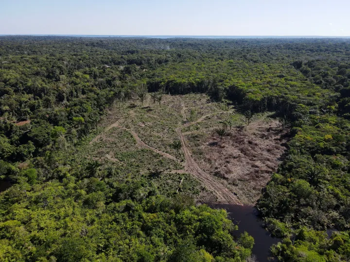 Az Amazonas esőerdő egy kiirtott parcellája Brazíliában, 2022. július 8-án – Fotó: Bruno Kelly / Reuters