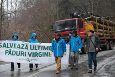 Tíz év börtönre ítélte az egyik leghírhedtebb romániai famaffia vezérét a bíróság