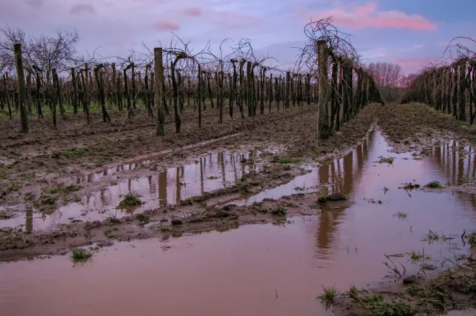 Kéthavi csapadék is leeshet jövő héten