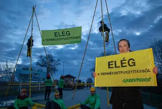 A Greenpeace szerint döbbenetes indokkal utasította el a bíróság a keresetüket a Fertő tavi beruházásról