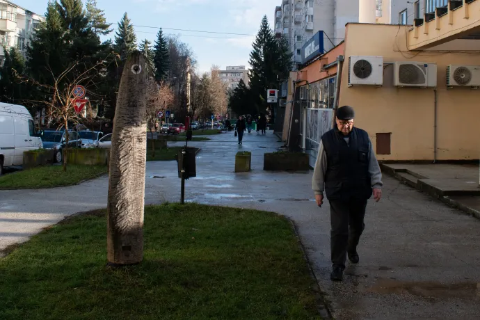 A szakképzett művész fölöttébb fölösleges voltáról