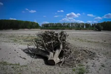 2022 a harmadik legmelegebb év volt Romániában