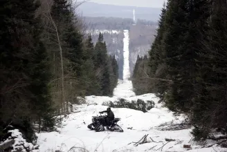 Az amerikai–kanadai határon végig kiirtották az erdőt egy hatméteres sávban