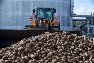 A hónap végén a gazdák tulajdonába kerülhet a marosludasi cukorgyár